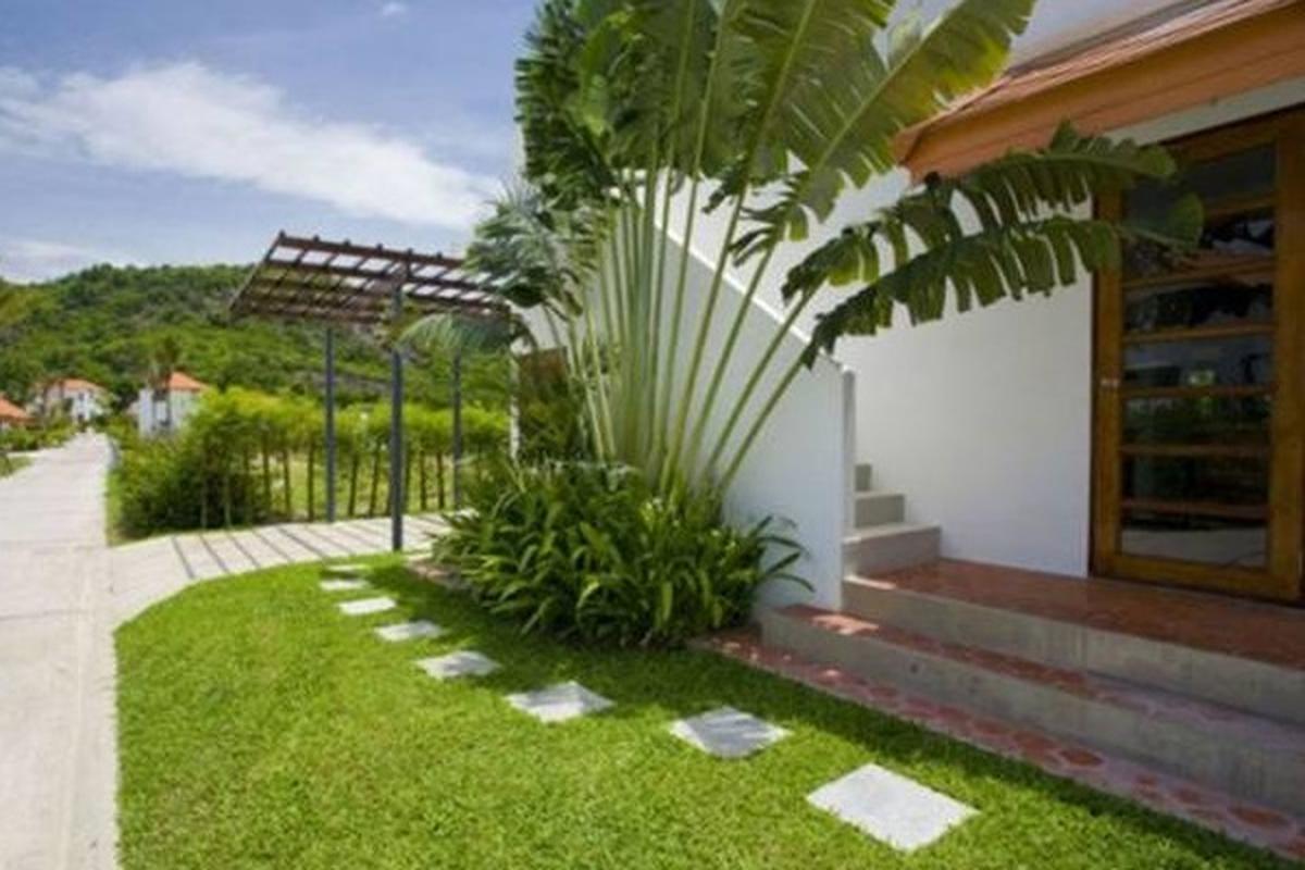 5 lý do nhất định nên trồng một cây chuối trong nhà