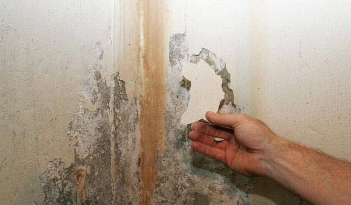 Lời khuyên cho những gia đình hay bị ẩm mốc, tường nhà bong tróc