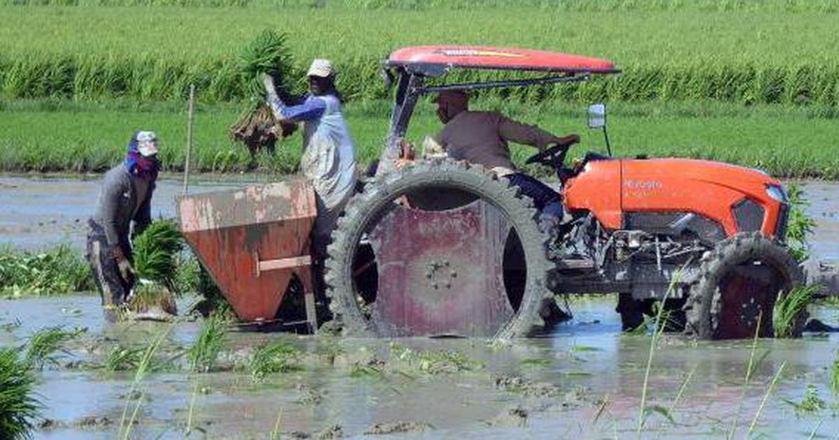 Cuba vừa đón tin cực vui, một doanh nghiệp Việt góp công lớn