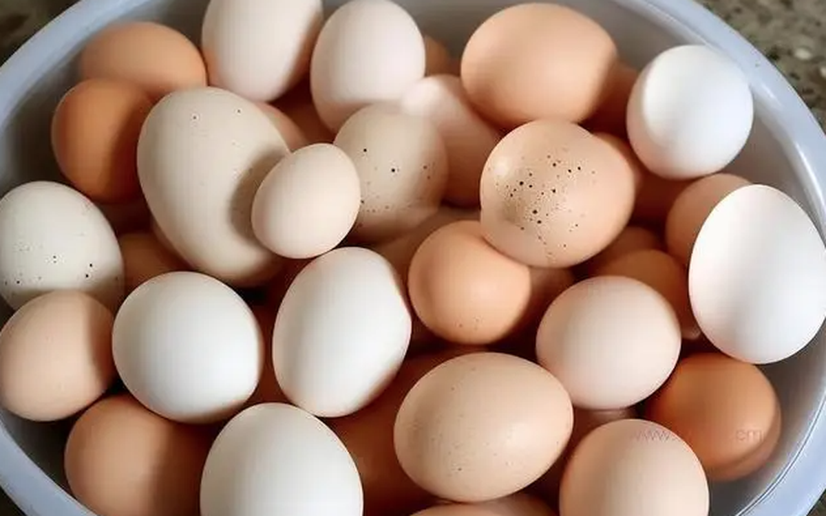 Bảng xếp hạng 5 thực phẩm giàu protein tốt nhất cho người cao tuổi: Trứng chỉ đứng thứ 5, số 1 gây bất ngờ