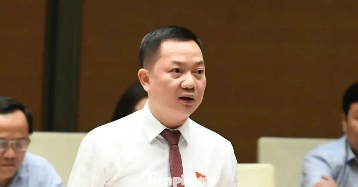 Đề xuất mới về kinh doanh kim cương, bán hợp đồng kỳ nghỉ