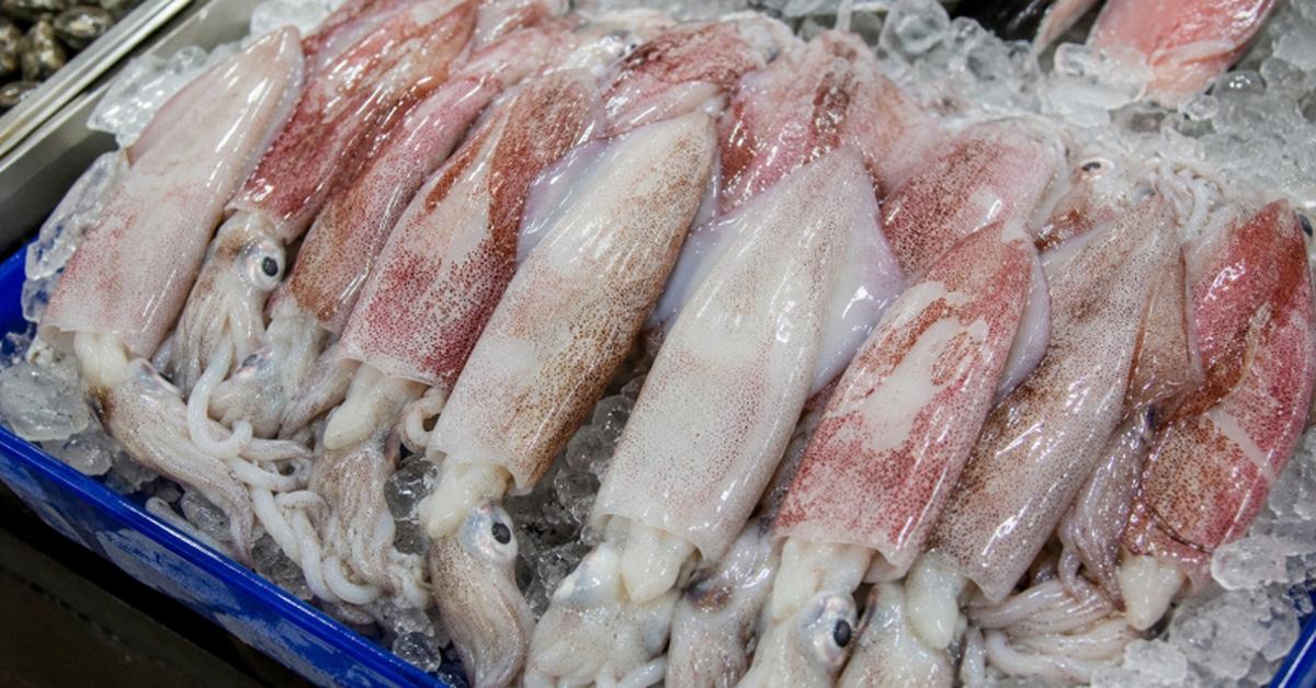 Mực có 5 dấu hiệu này: Cho không lấy, rẻ không mua