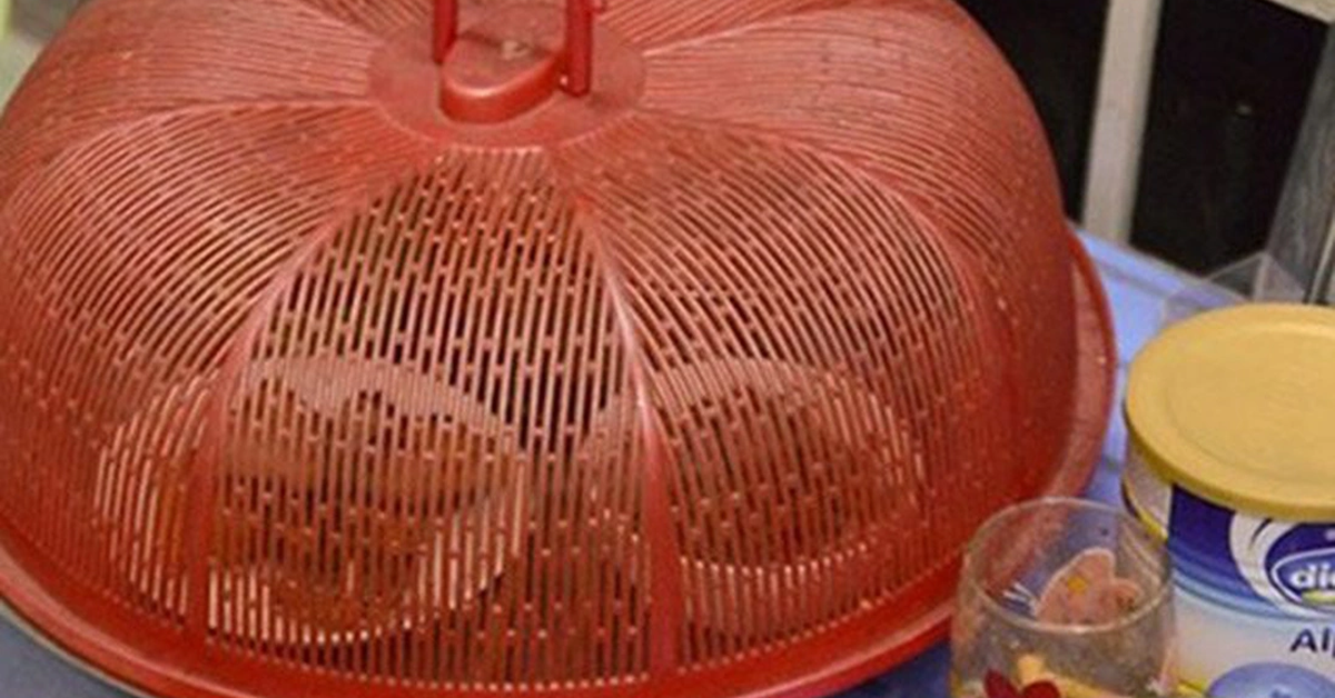 Vì sao ngày càng nhiều gia đình không còn dùng lồng bàn? Thì ra có 2 cách cất thức ăn khác hiệu quả hơn hẳn