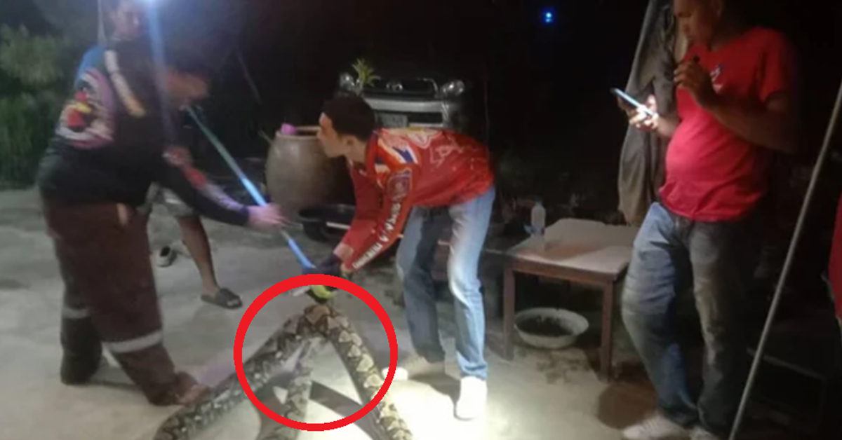 Đang ngồi trong nhà, người dân bất ngờ thấy cảnh tượng "nổi da gà", cả làng kéo đến xem
