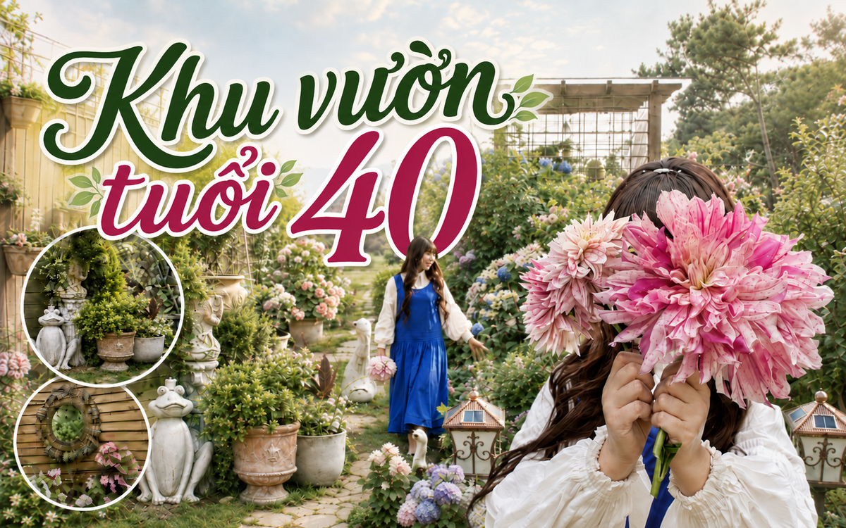 42 tuổi mới bắt đầu sống cho mình: Người phụ nữ chi hơn 10 tỷ đồng biến núi hoang thành khu vườn 1.500m²