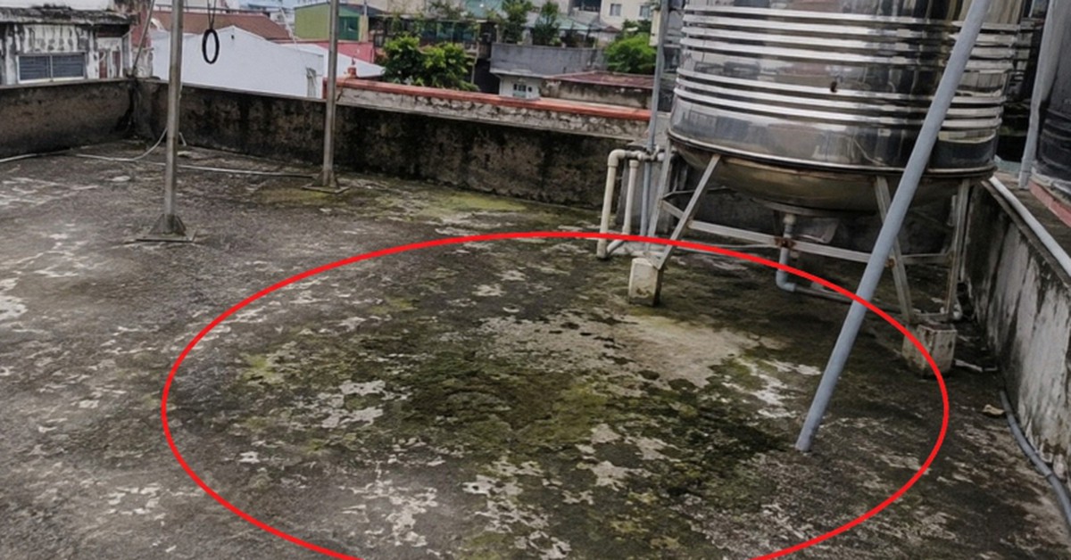 Lời khuyên cho những gia đình lâu ngày không vệ sinh sân thượng