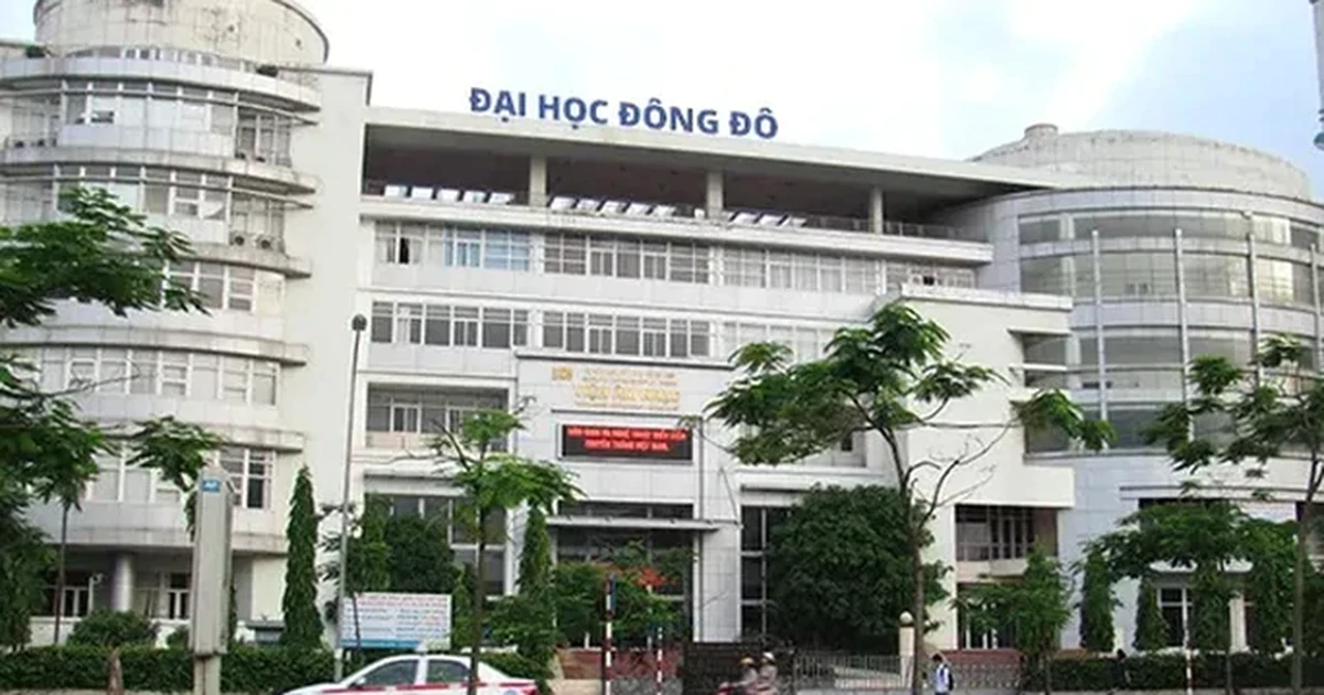 Nữ cán bộ Đại học Đông Đô "lừa" sinh viên nộp 1,9 tỷ đồng mở lớp học nhưng không được cấp bằng
