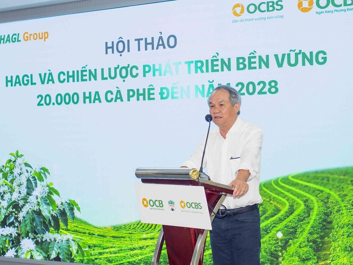 Bầu Đức trồng 20.000 ha cà phê trên cao nguyên cao 1.350 m, quanh năm mát mẻ, chuyên gia dự báo thu hoạch “khủng” 7,2 kg quả/cây