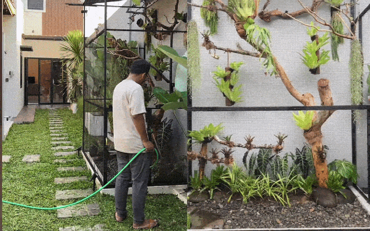 Nhà cho chim ở giá 6,5 triệu của một TikToker: Bên trong có gì?