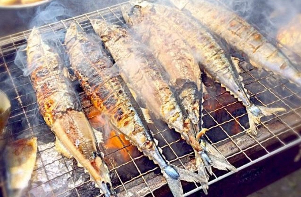 Rẻ hơn cá hồi nhưng dinh dưỡng chẳng "kém cạnh", DHA gấp 3: Bạn có biết đó là cá gì?