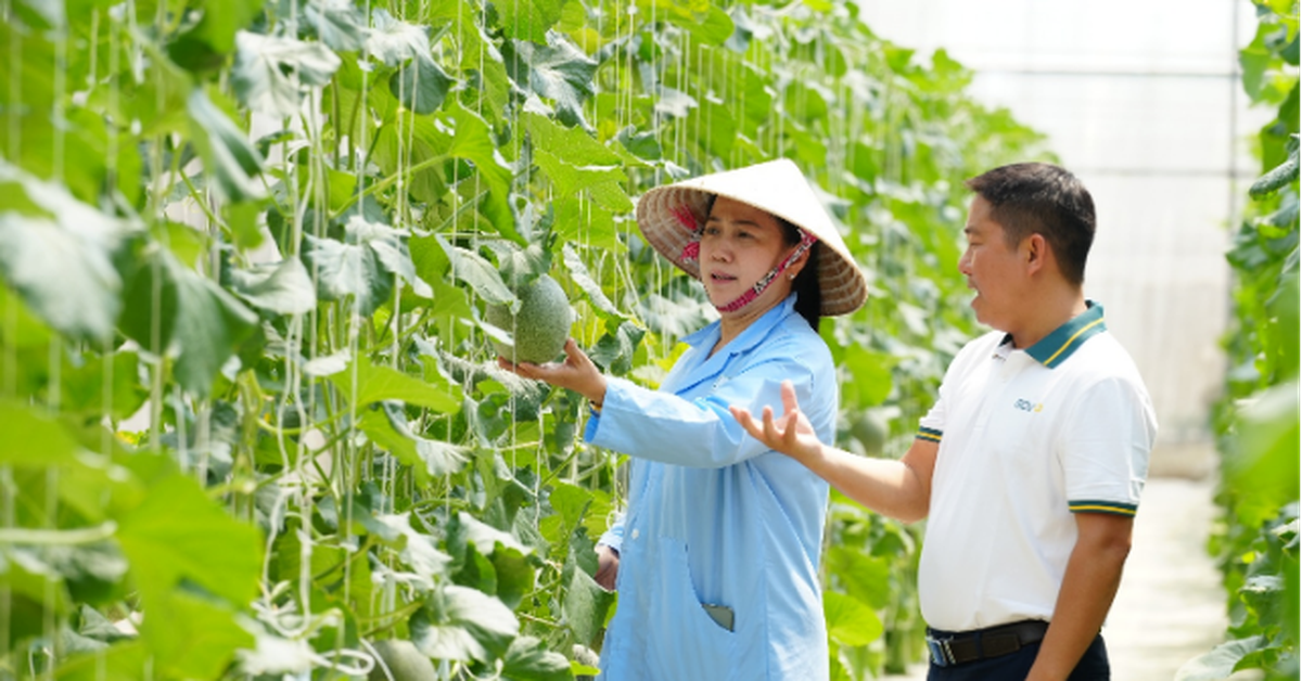 BIDV tiếp dòng tài chính, cùng khách hàng tiếp nối thành tựu