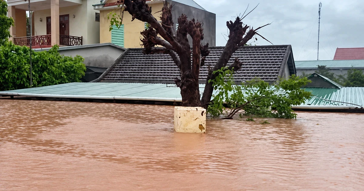 Mưa lũ bủa vây nhiều vùng Quảng Trị, hàng trăm nhà dân chìm trong "biển nước"