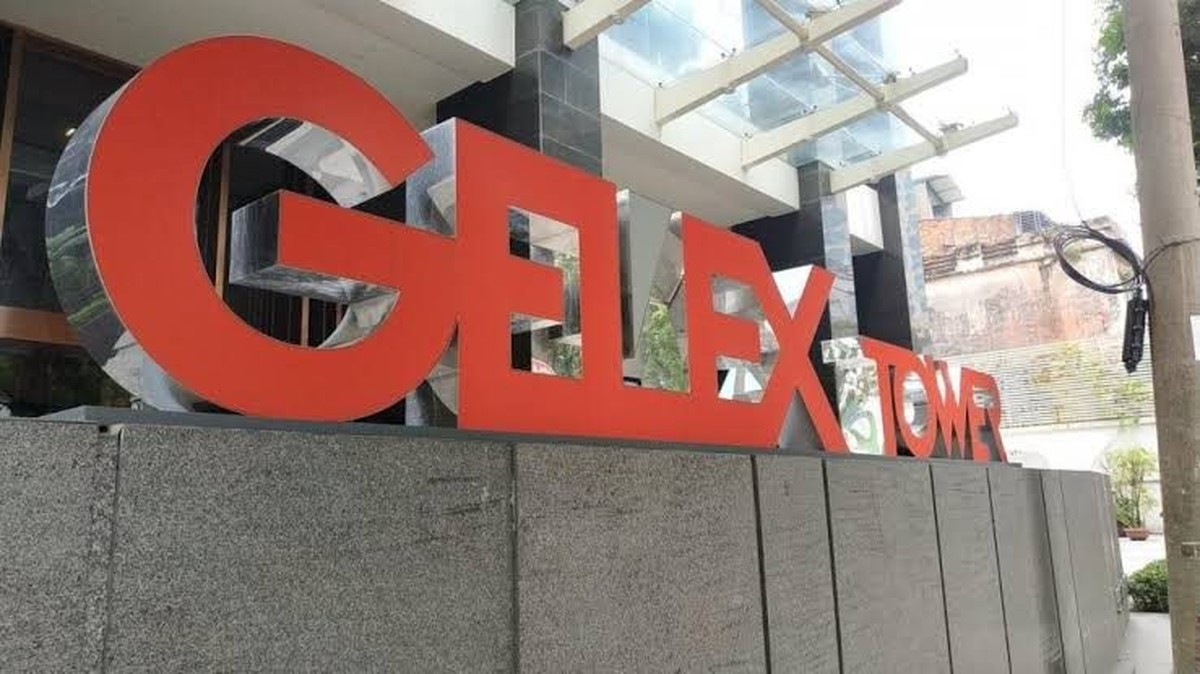 Loạt cổ phiếu hệ sinh thái GELEX bất ngờ lao dốc, nguyên nhân từ đâu?
