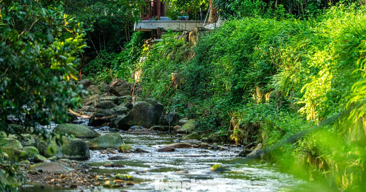 Mê mẩn sắc thu trên non thiêng Yên Tử