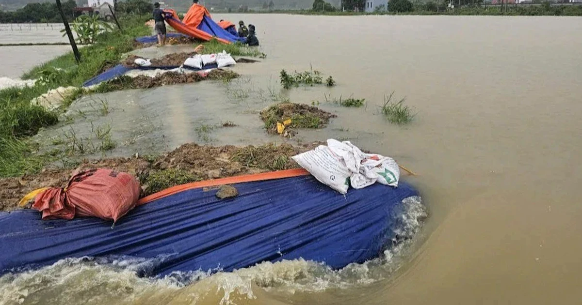 Vỡ bờ kênh ở Thanh Hóa