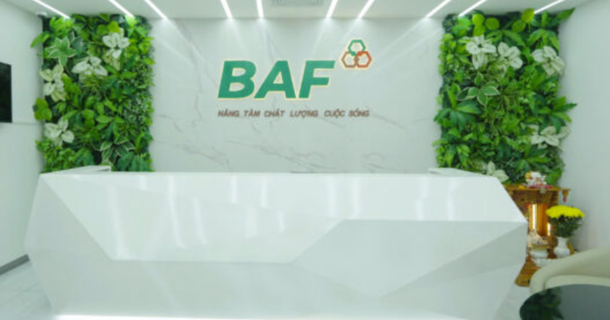 BAF Việt Nam bổ nhiệm Phó Tổng Giám đốc