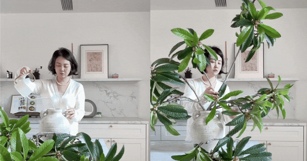 Biết tuyệt chiêu cắm hoa này, bạn chẳng cần tốn tiền mua cây: Cành lá ven đường qua tay chủ nhân hóa tuyệt tác!