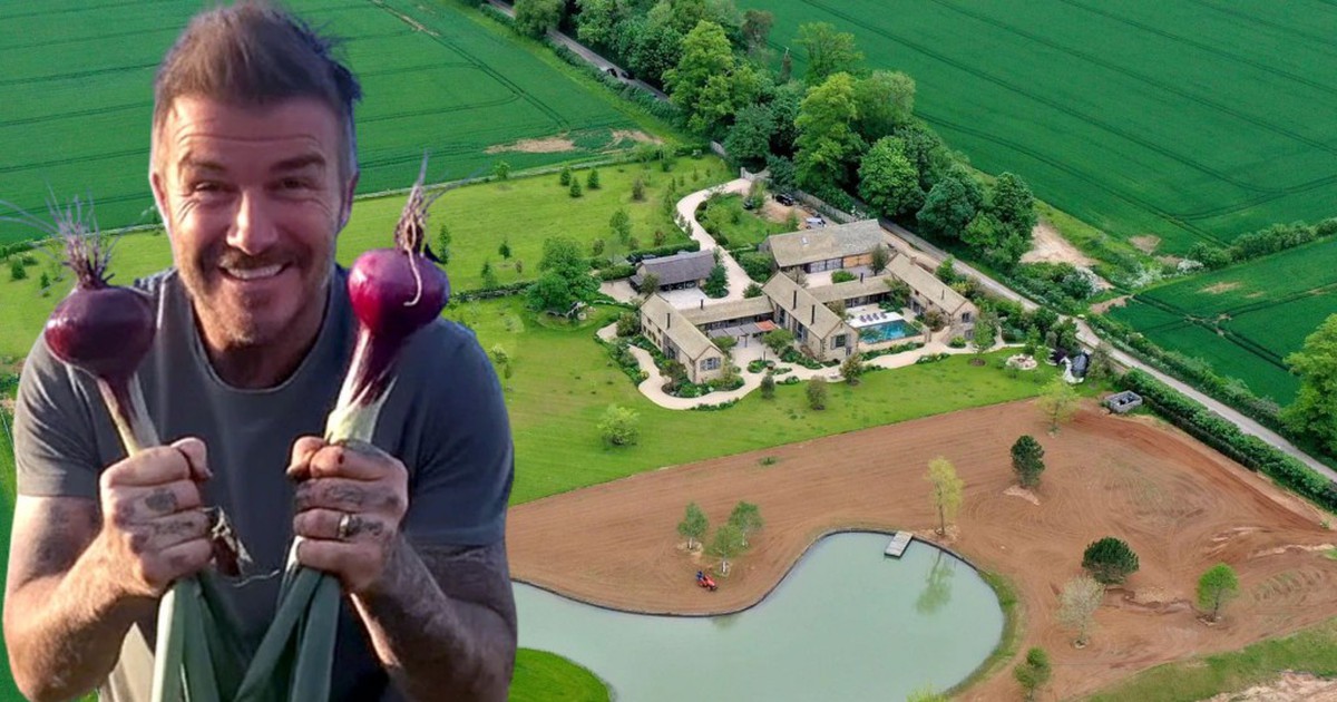 Toàn cảnh khu đất 100.000m2 là trang trại nuôi gà của David Beckham