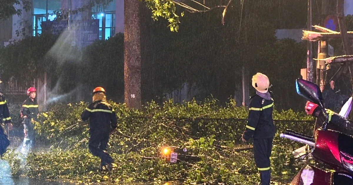 TPHCM: Nhánh cây lớn rơi trúng xe máy, hai vợ chồng thương vong