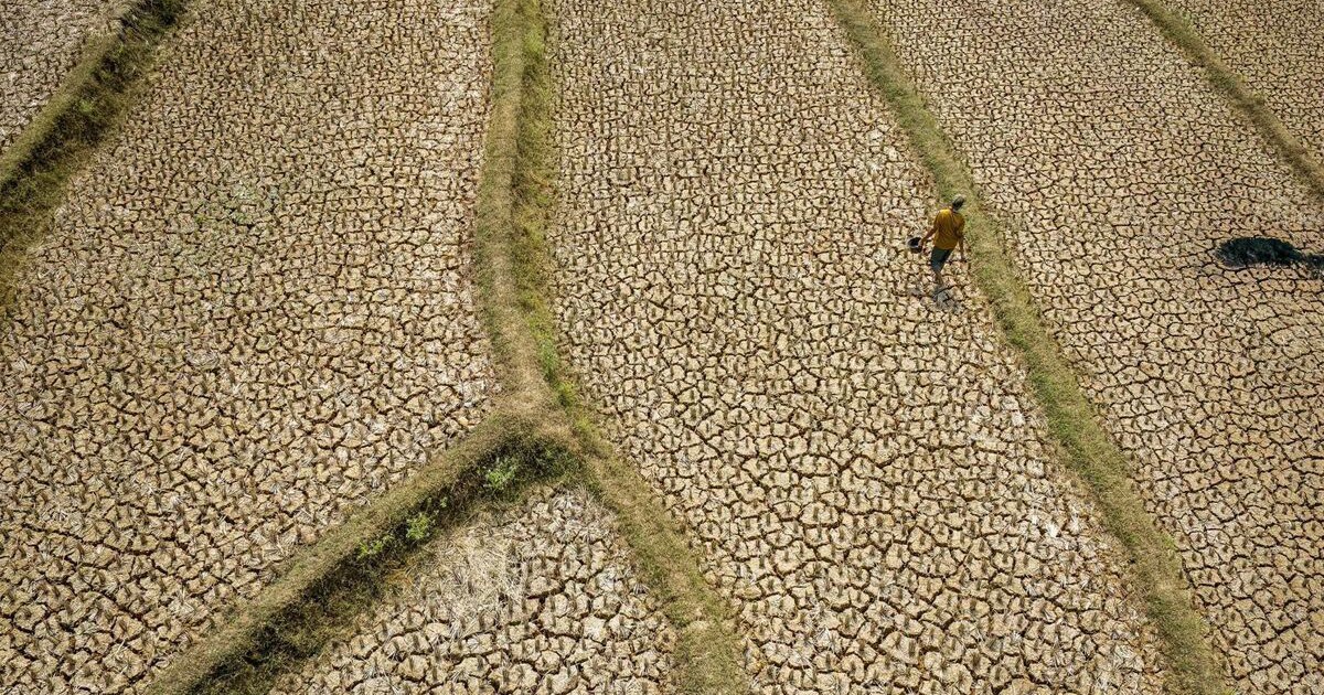 Châu Á gấp rút ứng phó "siêu" El Nino