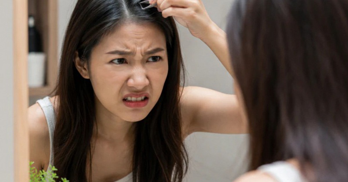 Lời khuyên cho tất cả những người cứ thấy tóc bạc là nhổ