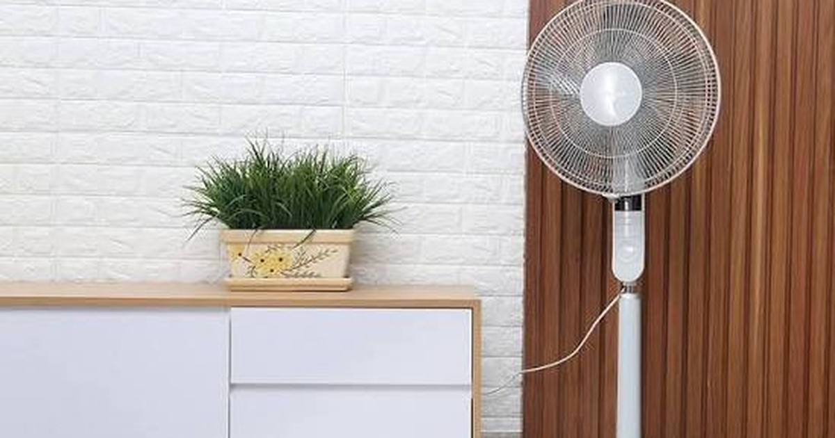 Nên dùng quạt trần hay quạt cây thì mát hơn?
