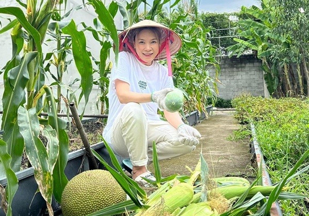 Vườn nhà nghìn mét vuông của Mỹ Tâm