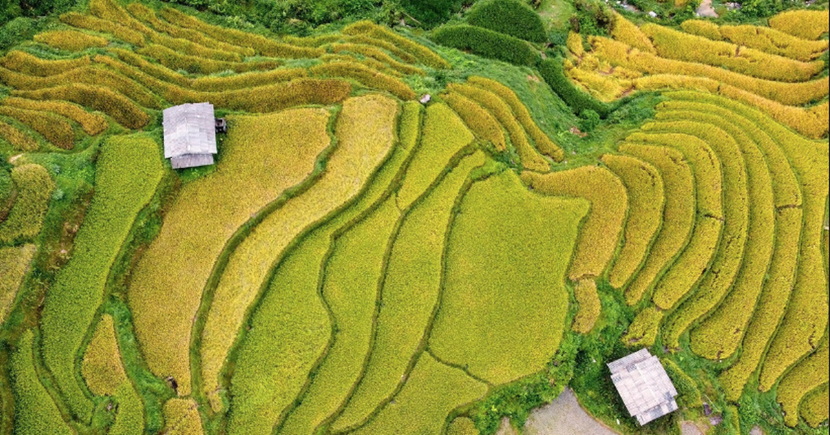 Việt Nam có “tòa tháp xanh 121 tầng” giữa núi: Không xây bằng bê tông, nằm ở điểm đến hàng triệu khách mỗi năm