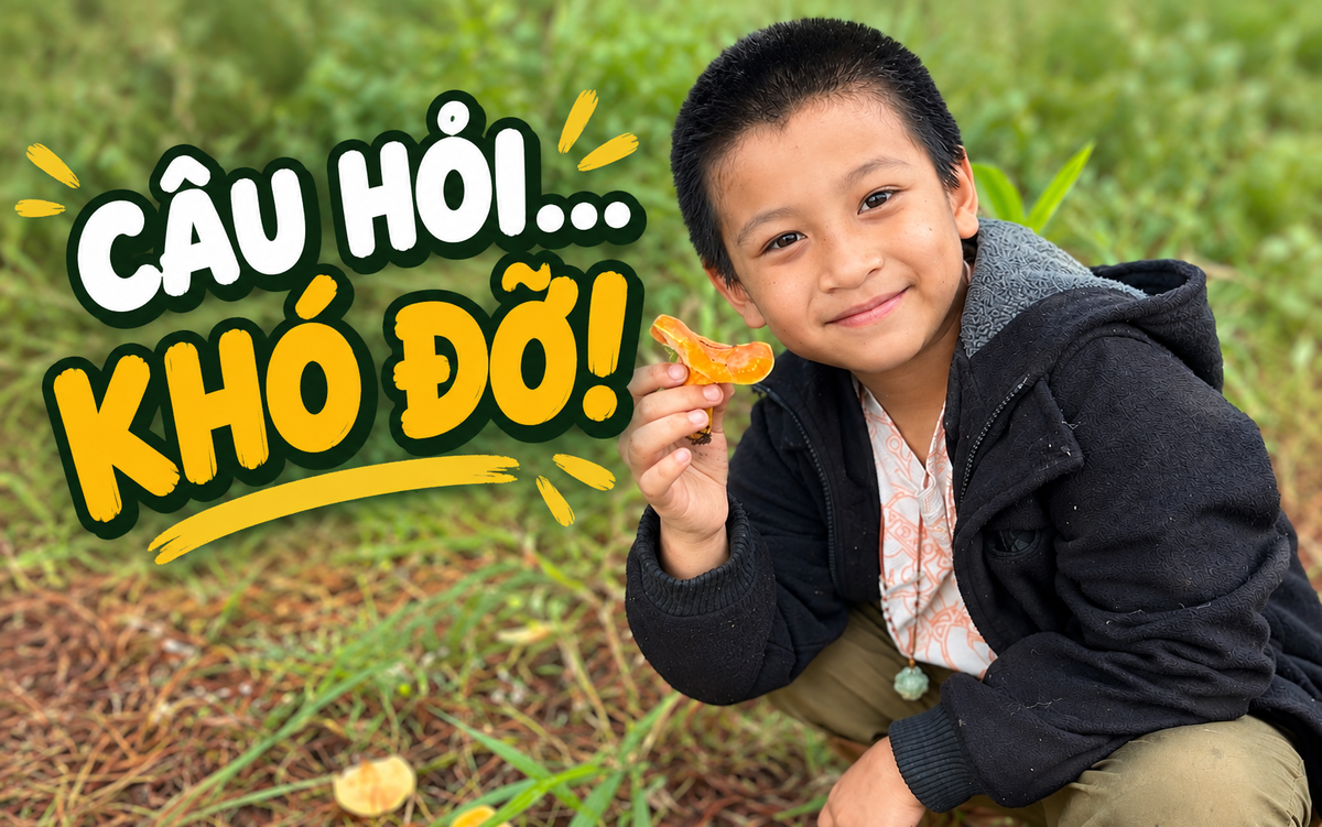 Con chê bạn "toàn dùng balo cũ xấu xí”, bà mẹ TP.HCM có cách ứng xử quá khôn ngoan!