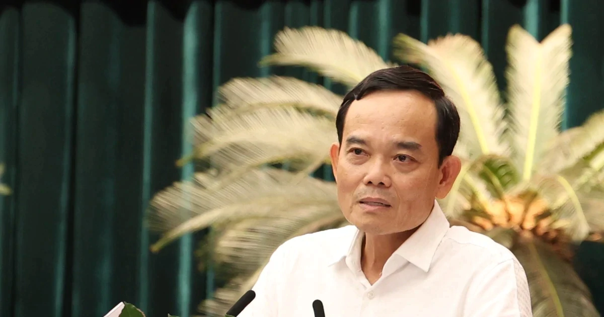Bí thư Thành ủy TPHCM Trần Lưu Quang: "Chúng ta không có đường lùi..."