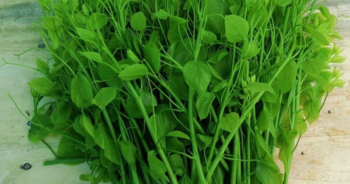 Lợi ích của cây bò khai