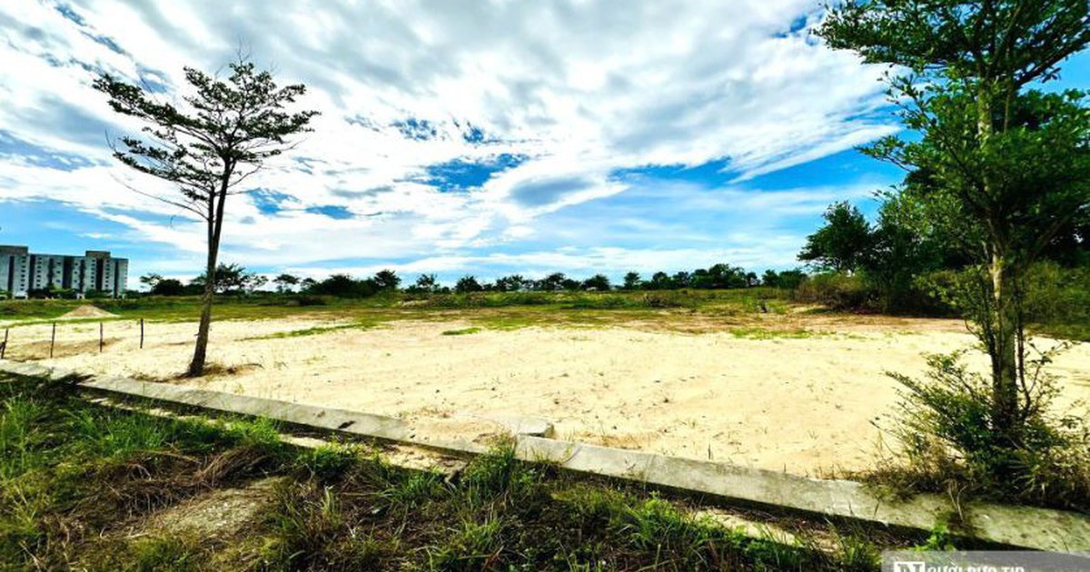 Đà Nẵng giao đất, cho thuê đất làm Khu đô thị Yến Hà My