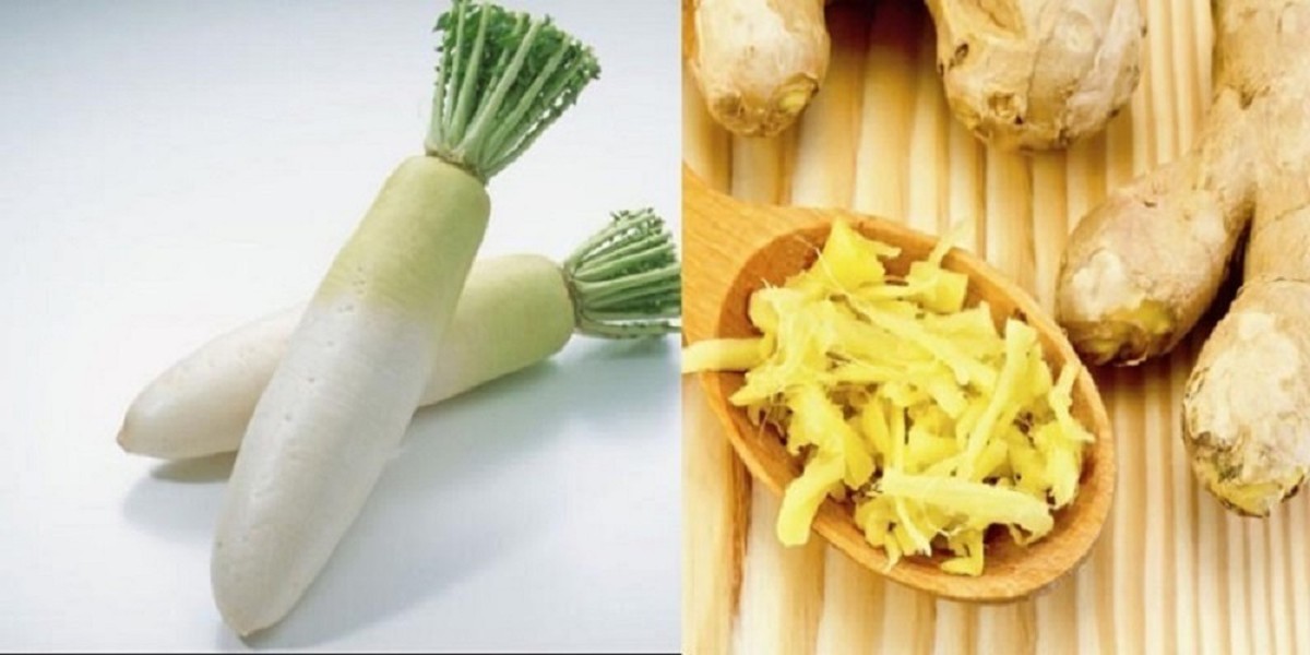 Vì sao mùa nóng nên ăn gừng , mùa rét nên ăn củ cải trắng?