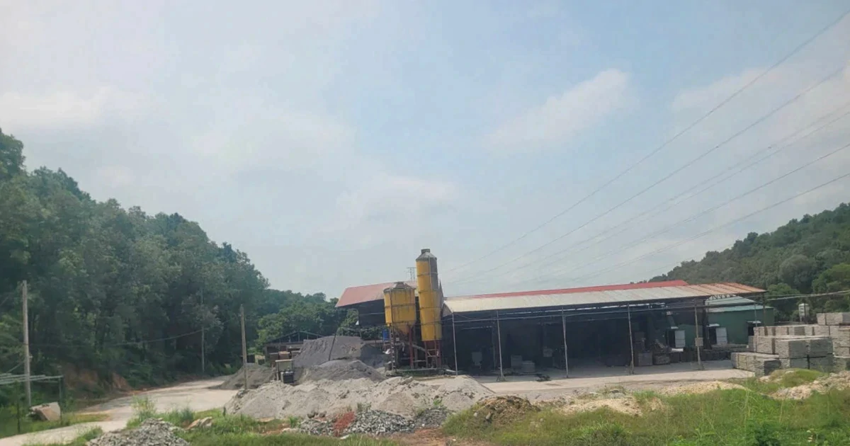 Hà Nội tháo dỡ hàng loạt nhà gỗ, nhà dạng container trên đất rừng
