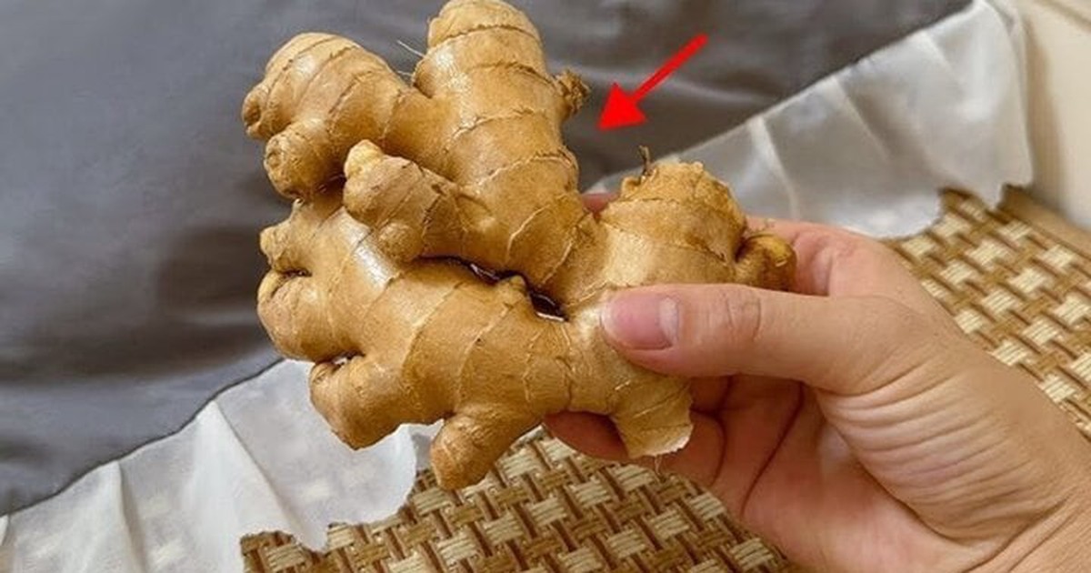 Vì sao ngày càng nhiều người thích đặt một củ gừng dưới gối khi ngủ?