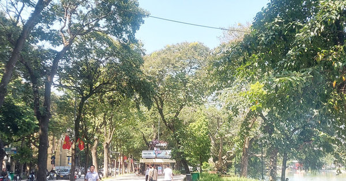 Bắc Bộ ngày nắng hanh, chiều tối và đêm có mưa dông vài nơi
