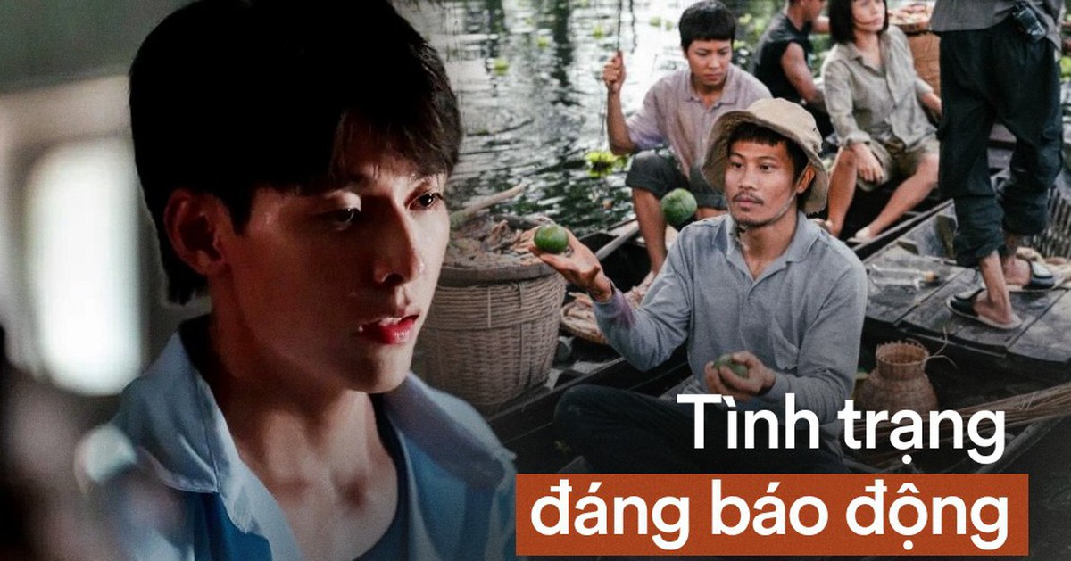 Phim Việt 2026 báo động đỏ: Phòng vé lao dốc, hụt hơi tới 800 tỷ đồng