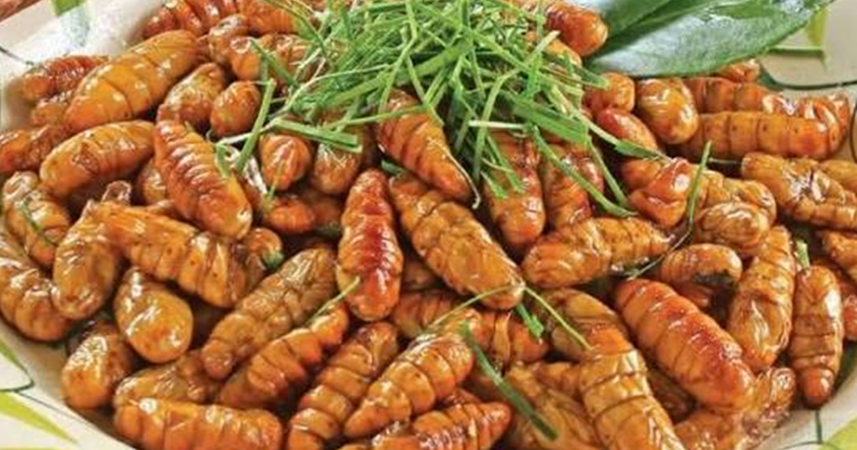 Ăn 20 con nhộng tằm, người đàn ông 41 tuổi suy đa tạng, suýt mất mạng