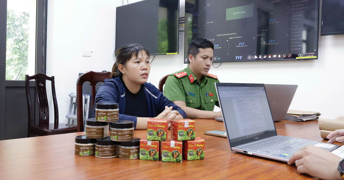 Bắt tạm giam Triệu Thị Thảo và 7 người khác liên quan đến số tiền bán hàng trị giá 244,5 triệu đồng