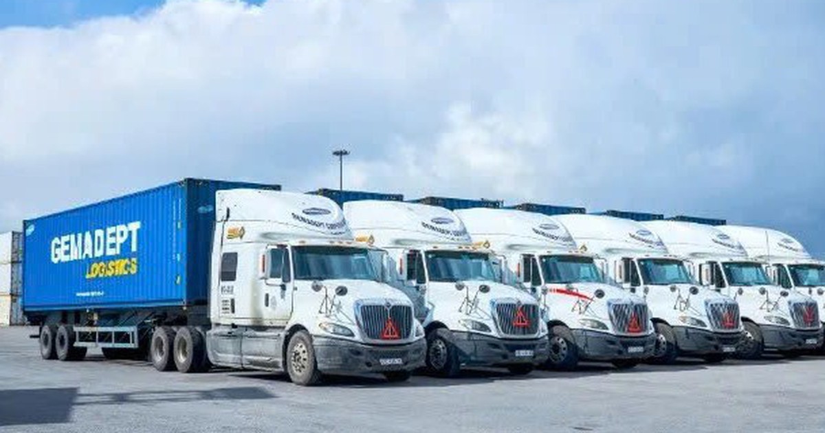Gemadept phát hành hơn 216 triệu cổ phiếu thưởng cho cổ đông