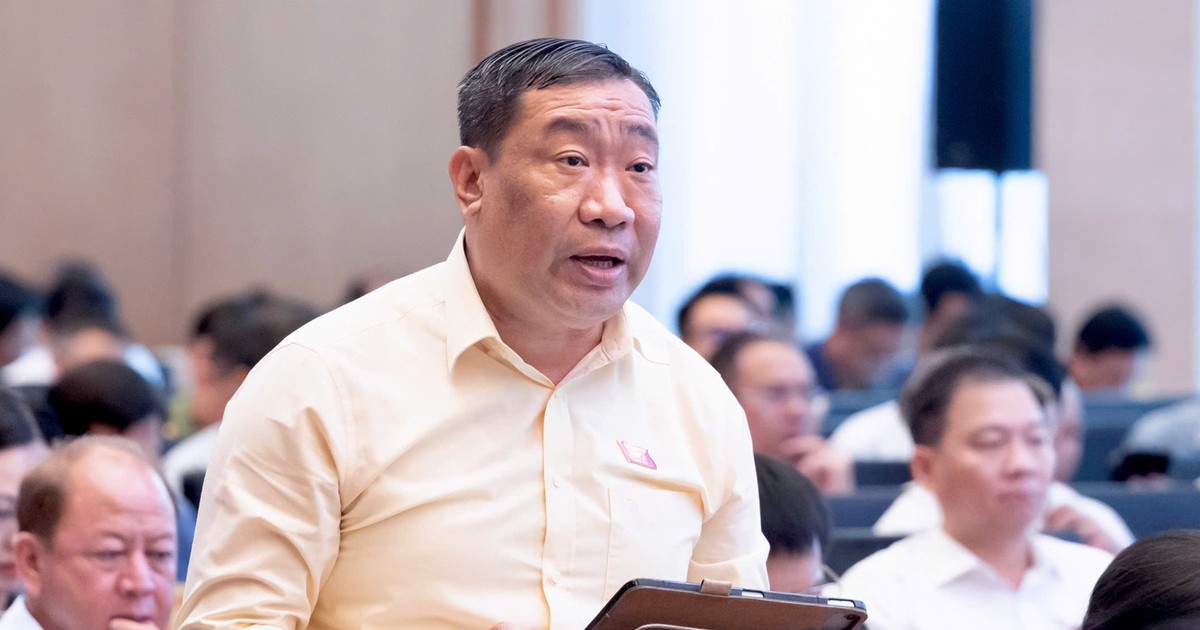 ĐBQH đề nghị cân nhắc việc hoãn xuất cảnh, cắt điện nước để cưỡng chế xử phạt