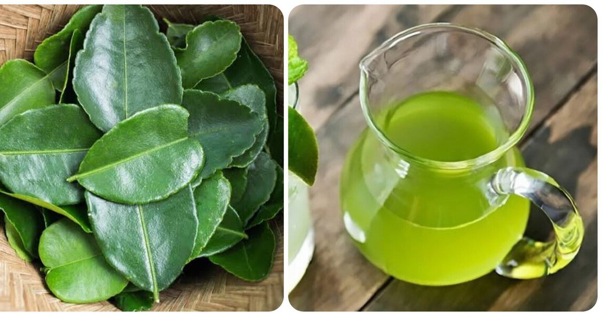 Uống nước lá chanh có tác dụng gì?