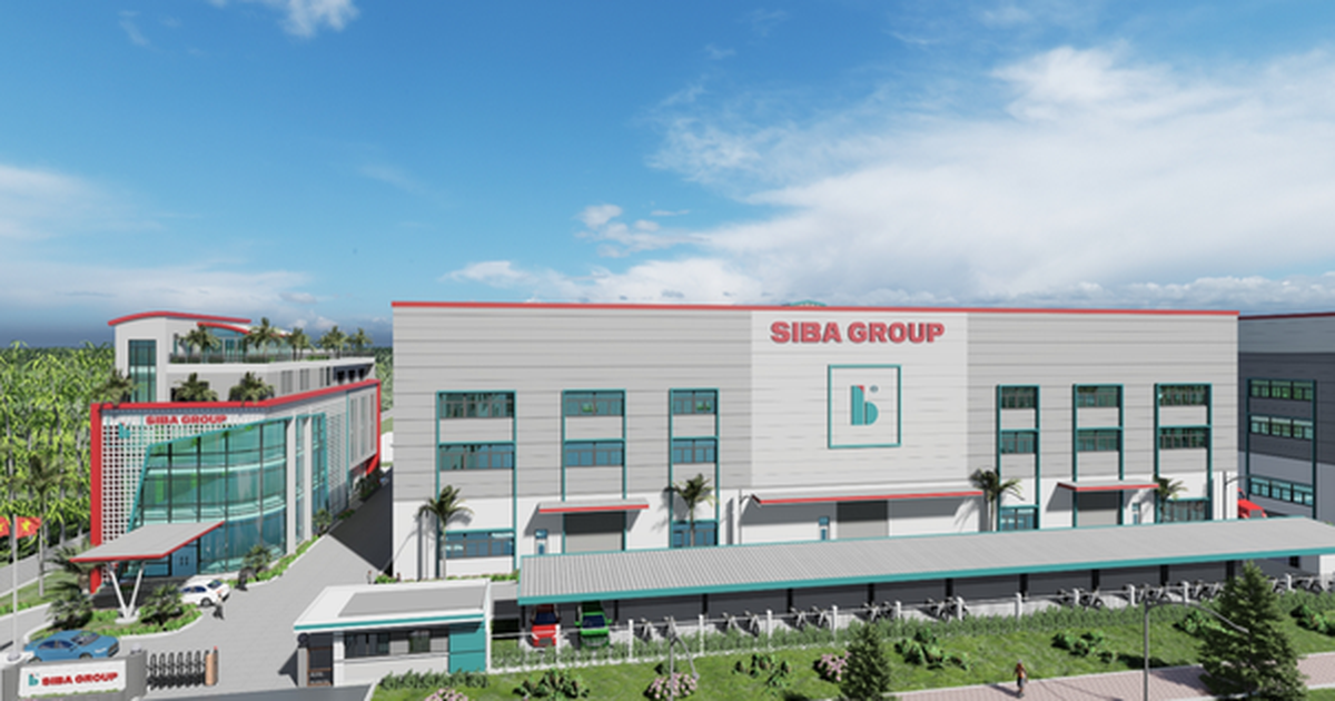 Siba Group chốt ngày phát hành cổ phiếu ESOP