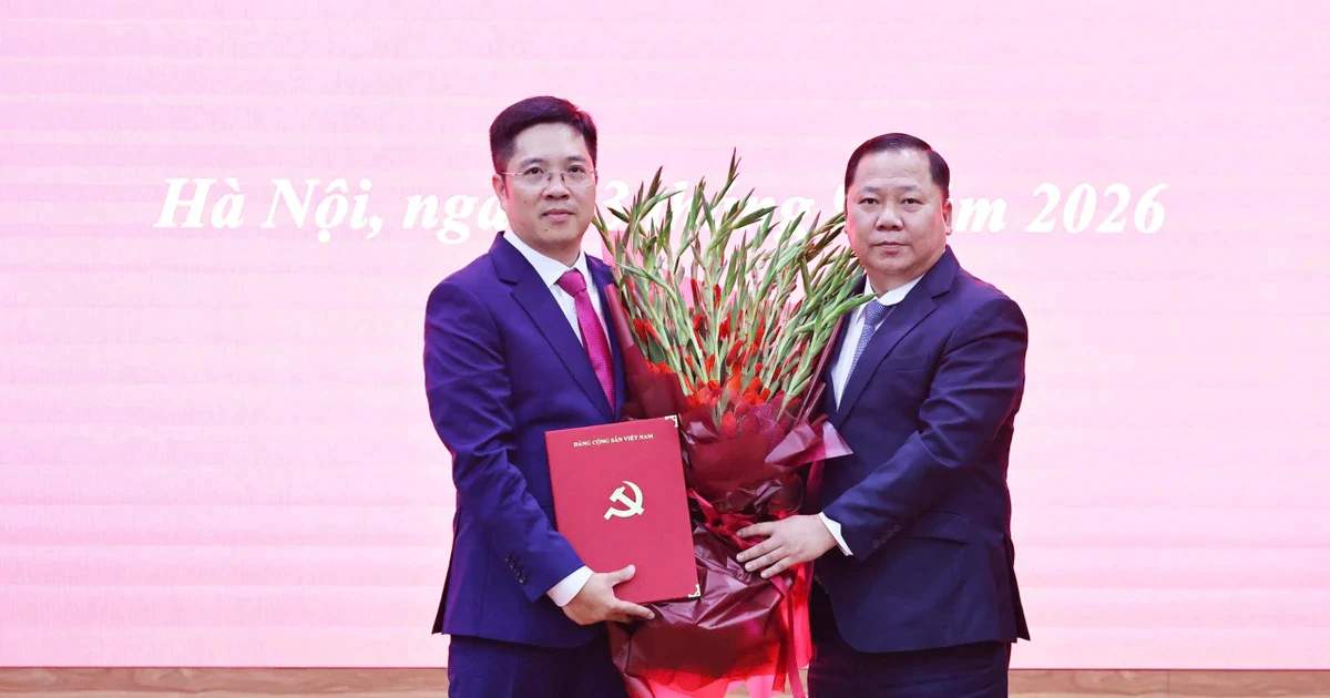 Bổ nhiệm Trợ lý Chủ tịch Ủy ban Trung ương Mặt trận Tổ quốc Việt Nam