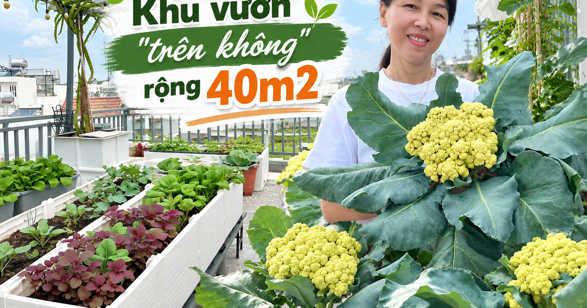 Khu vườn 40m² trên sân thượng ở TP.HCM: Rau xanh ăn quanh năm, chiều nào gia chủ cũng lên “xả stress”