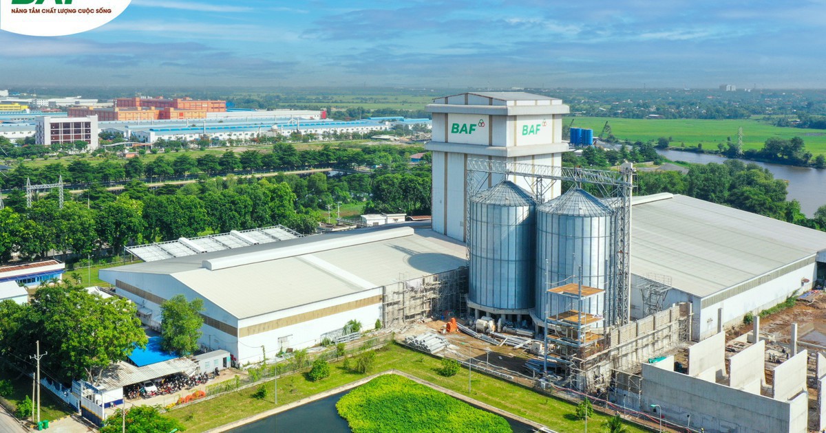 Baf Việt Nam thâu tóm một doanh nghiệp chăn nuôi tại Gia Lai