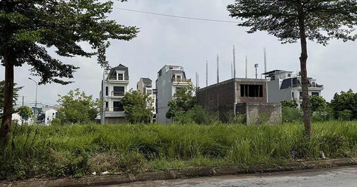 Dự án Khu nhà ở Thuần Nghệ dang dở đến bao giờ?