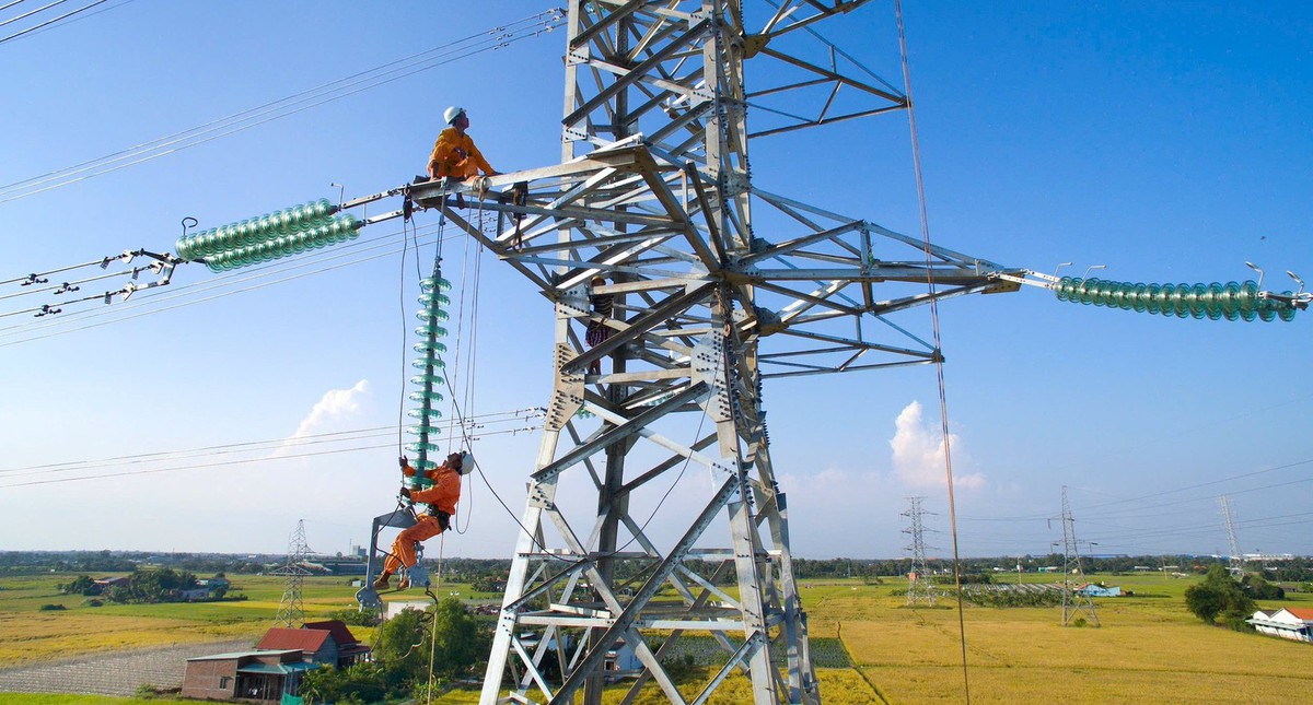 Tổng công ty Điện lực miền Nam cảnh báo khẩn
