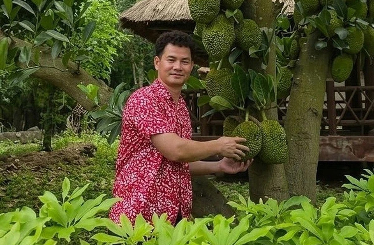 Vườn nhà nghìn mét vuông của NSND Xuân Bắc