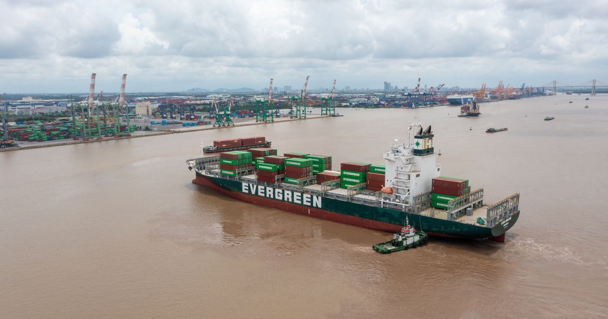 Viconship lên kế hoạch tăng vốn điều lệ vượt 5.800 tỷ đồng